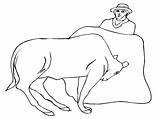 Bull Matador sketch template