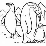 Coloring Penguin Pages Penguins Animals Arctic Kids Sheets Animal Printable Color Polar Emperor Baby Print Family Cute Colouring Their Preschool sketch template