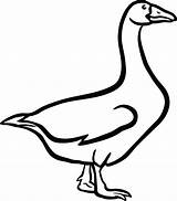 Goose Clipart sketch template