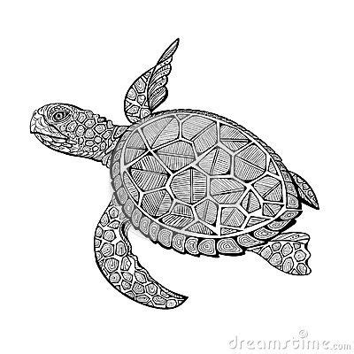 turtle coloring book  adults vector stock vector image
