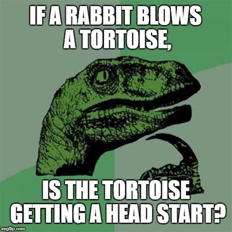tortoise and the hare head start sex joke imgflip
