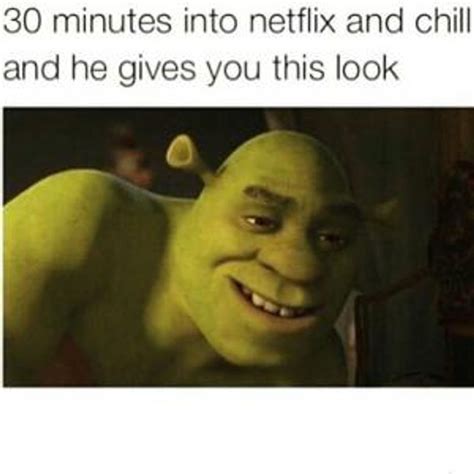 Live Vicariously All The Best Netflix And Chill Memes