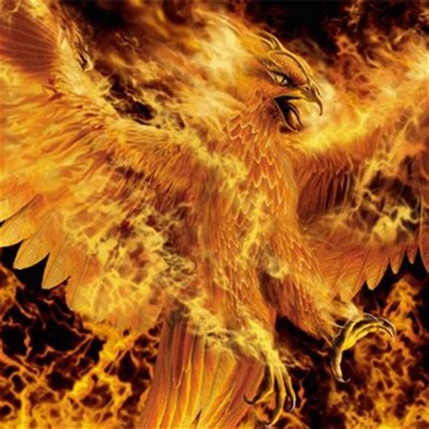phoenix fire atphoenixfyr twitter