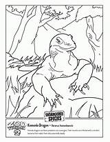 Dragon Komodo Coloring Pages Colouring Popular Coloringhome sketch template