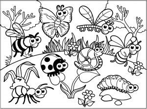 butterflies insects coloring pages  adults