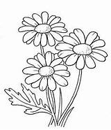 Para Flores Desenho Margarita Dibujo Visitar Coloring Flower Flor sketch template