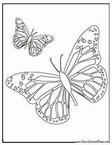 Papillons Coloriage Coloriages Papillon sketch template