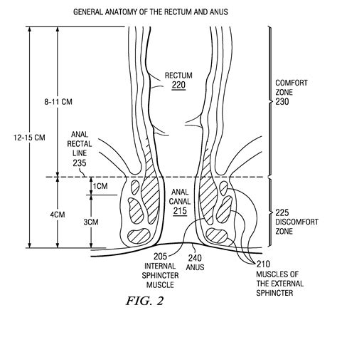 Patent Us8419712 Method And Apparatus For Inserting A Rectal