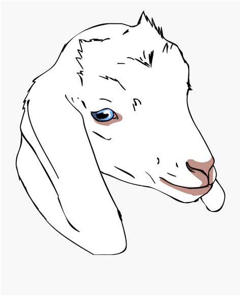 Clip Art Goat Head Drawing Draw A Goat Head