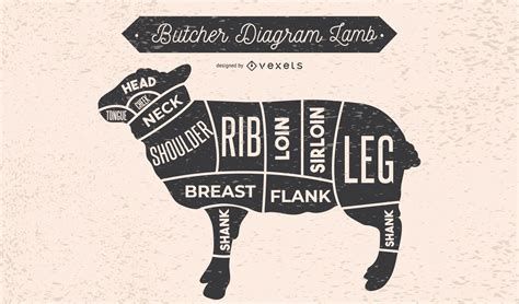 lamb butcher diagram design vector