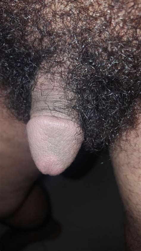 Hairy Penis Photo Album By Tani Zee