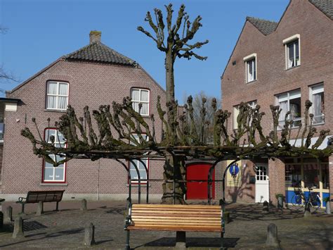 postcode  ea oude bemmerstraat beek en donk het postcode en adresboek van nederland