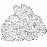 Zentangle Hase Stylized Ausmalen Colouring Malvorlage Coelho Estilizado Coloringfolder Ilustração sketch template