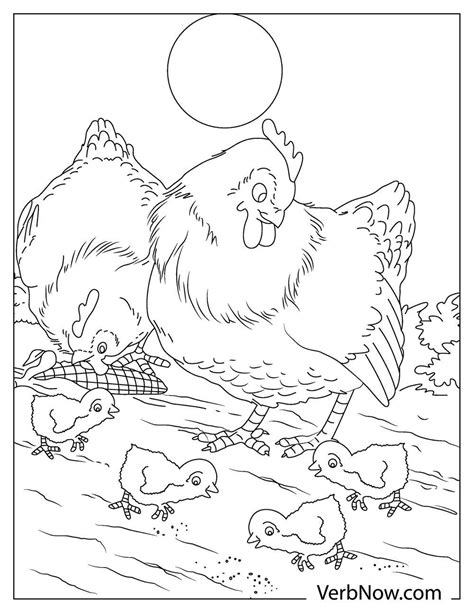 chicken coloring pages book   printable  verbnow