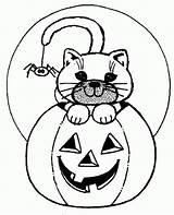 Kolorowanki Kot Halloweenowy Dzieci Spooky Getcolorings sketch template