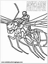 Coloring Ant Man Pages Printable Lego Antman Wasp Kids Colouring Avengers Toddler Cartoon Sheets Marvel Ants Print Superhero Realistic Animal sketch template