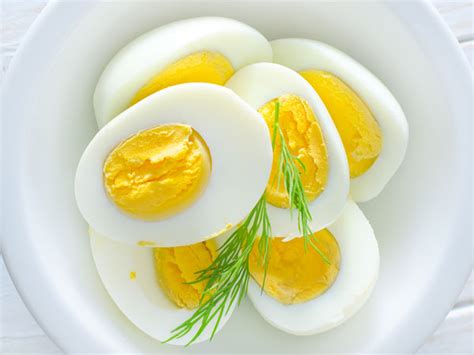 lose  pounds   week   egg diet
