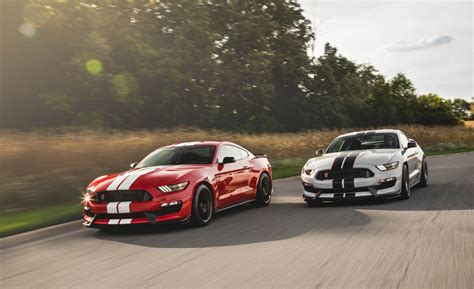 ford mustang shelby gt gtr cars exclusive    updates