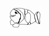 Fish Coloring Pages Outline Realistic Drawing Cute Tropical Cliparts Printable Clipart Kids Template Clown Small Drawings Coral Getdrawings Library Hawaii sketch template