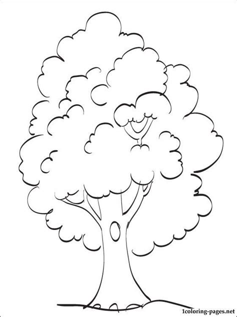 tree coloring book coloring home