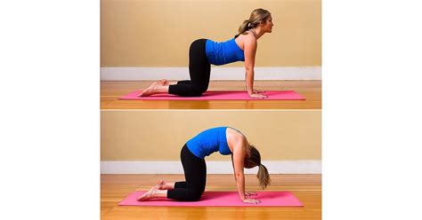 cat cow pose the short and sweet yoga sequence you can do every