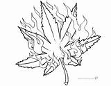 Weed Coloring Leaf Pages Fire Pot Marijuana Printable Plant Adults Color Print Kids Template Bettercoloring sketch template