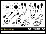 Sperm Vectorency sketch template