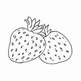 Coloring Vegetable Fruit Two Strawberries Pages Surfnetkids Next sketch template