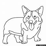 Corgi Welsh Drawing Puppy Thecolor Drawings sketch template