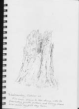Sketches Acadia National Park Melissa Fischer sketch template