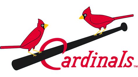 st louis cardinals logo symbol meaning history png brand