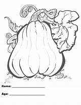 Coloring Pages Pumpkin sketch template