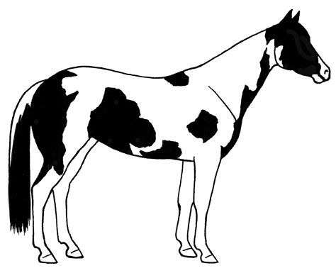 paint horse silhouette   paint horse silhouette png