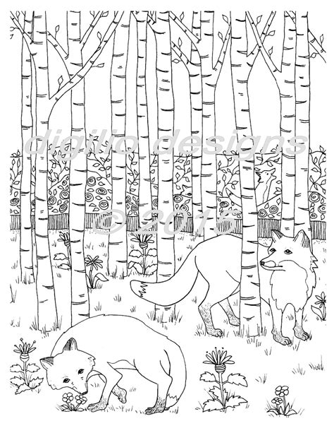 adult coloring page foxes   forest fox woodland