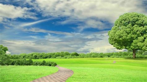 hd p nature background scenery video royalty  landscape video