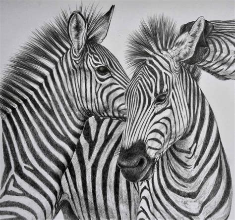 beautiful  realistic animal sketches   inspiration