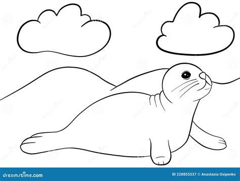 cute simple baby seal coloring page  development  recreation
