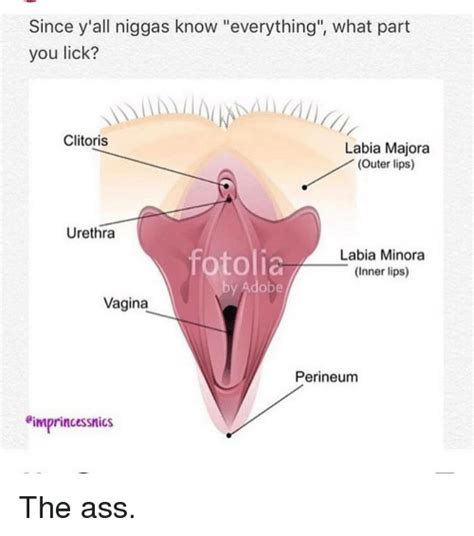 Clitoris And Vagina Licking Xxx Sex Images