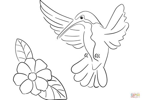 hummingbird coloring page  printable coloring pages