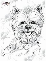 Coloring Yorkie Pages Westie Printable Terrier Color Getcolorings Head Print Highland West Getdrawings sketch template