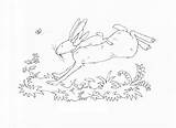 Coloring Guess Much Pages Little Popular Hare Nutbrown sketch template