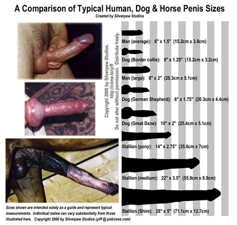vagina size vs penis size