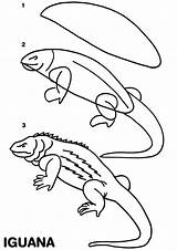Drawing Iguana Drawings Draw Easy Pictionary Pages Publications Dover Tutorial Iguanas Kids Lessons Figure Projects Coloring Doverpublications Drawn Fish Color sketch template