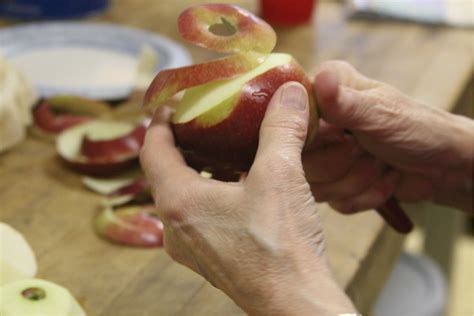 Homemade Apple Pie Recipe A Farmgirl S Kitchen