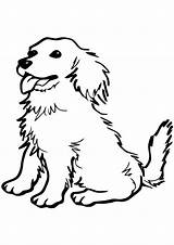Coloring Dog Pages sketch template