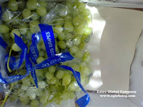 superior seedless grapes extra global ecplazanet