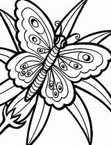 Butterfly Flower Coloring Pages Printable Drawings Spring Cute Sheets Easy Getcolorings Butterflies Color Heart Choose Board Mandala sketch template