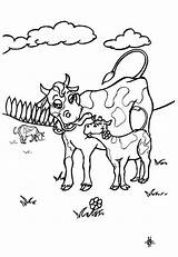 Vaca Ternero Cow Dibujo Línea sketch template