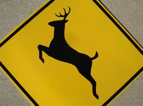 deer signs   rice signs