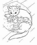 Coloring Pages Cute Kitty Popular sketch template